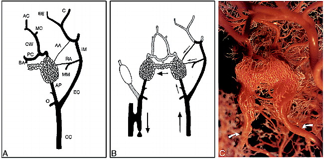 fig 1.