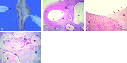 Fig 3.