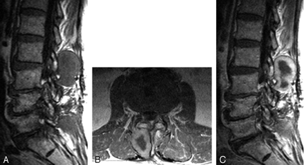 Fig 3.
