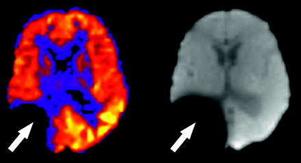 Fig 7.