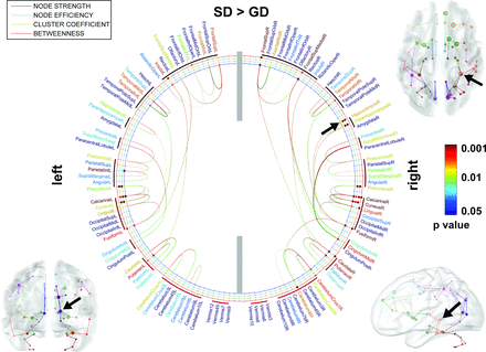 Fig 3.