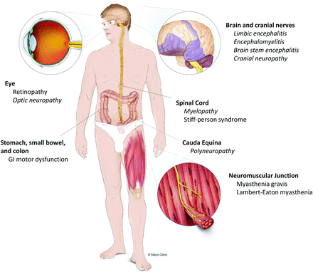 FIG 1.