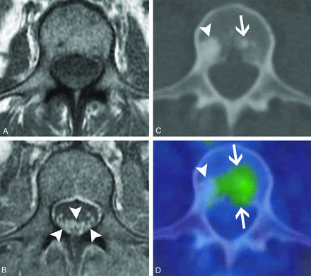 FIG 10.