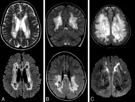 FIG 3.