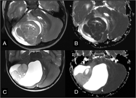 FIG 5.