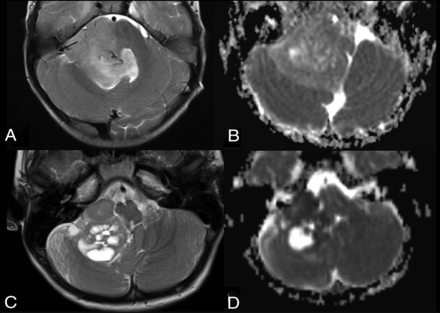 FIG 6.