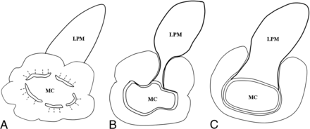FIG 1.