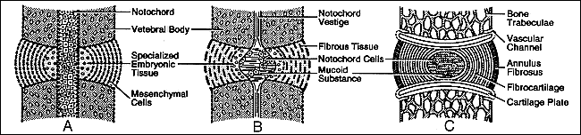 fig 5.