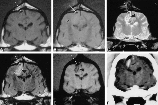 fig 2.