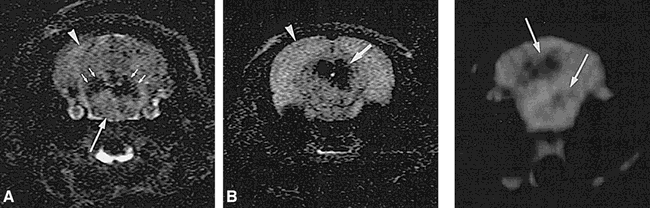 fig 2.