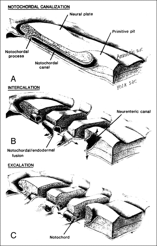 fig 7.