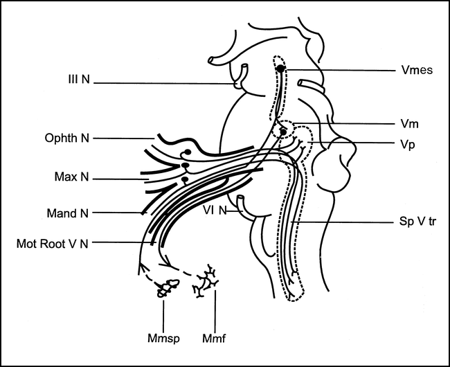 fig 3.