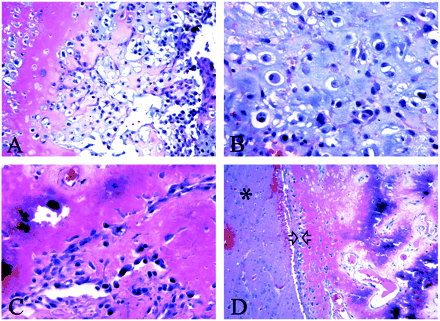 fig 3.