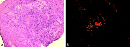 fig 8.