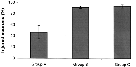 Fig 5.