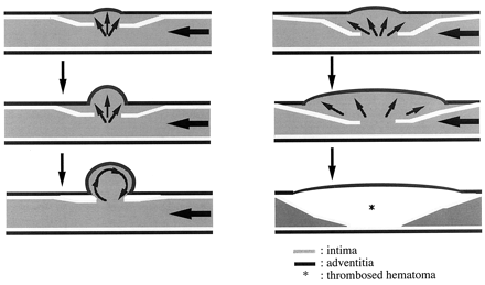 Fig 6.