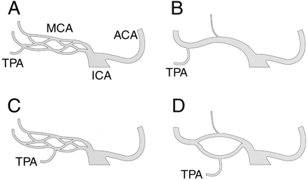 Fig 2.