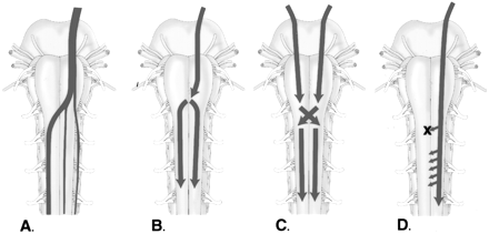 Fig 4.