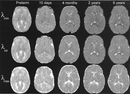 Fig 2.