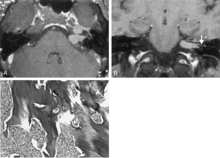 Fig 2.