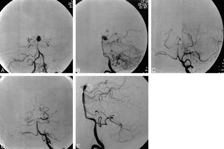 Fig 1.