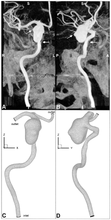 Fig 1.