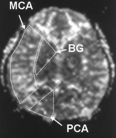 Fig 1.