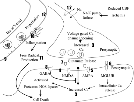 Fig 1.