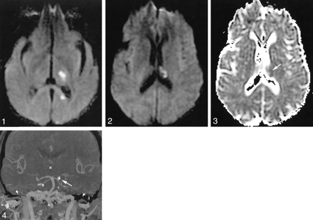 Fig 1.