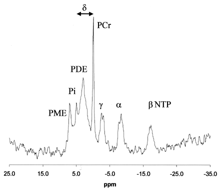 Fig 2.