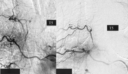 Fig 2.