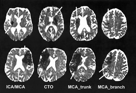 Fig 5.