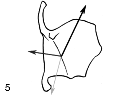 Fig 5.