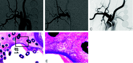 Fig 1.