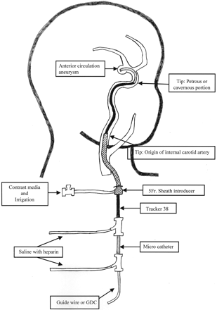 Fig. 2.