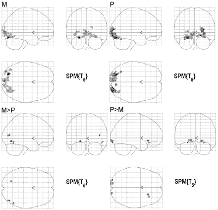 Fig 3.