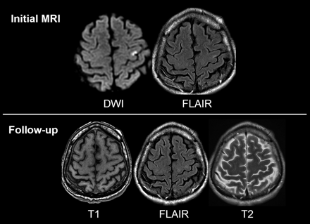 Fig 3.