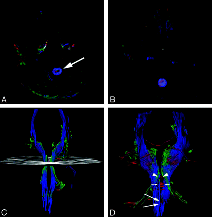 Fig 4.