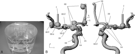 Fig 1.