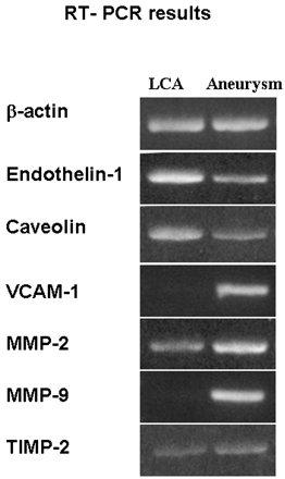 Fig 1.