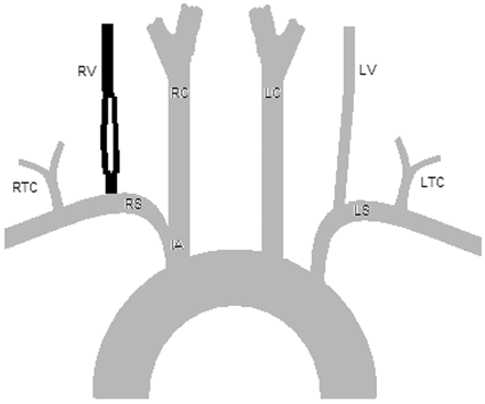 Fig 10.