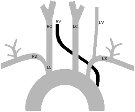 Fig 6.