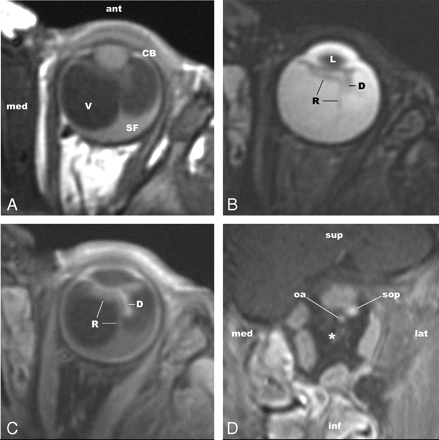 Fig 2.