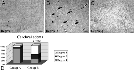 Fig 2.