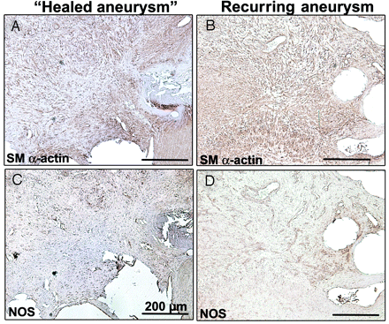 Fig 6.