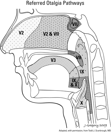 Fig 1.