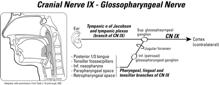 Fig 8.