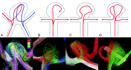 Fig 1.