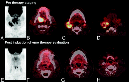 Fig 7.