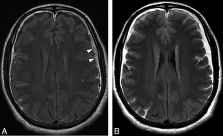 Fig 1.